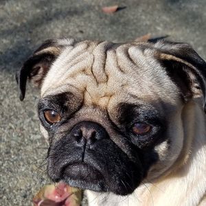 Meet your Posher, Kenna